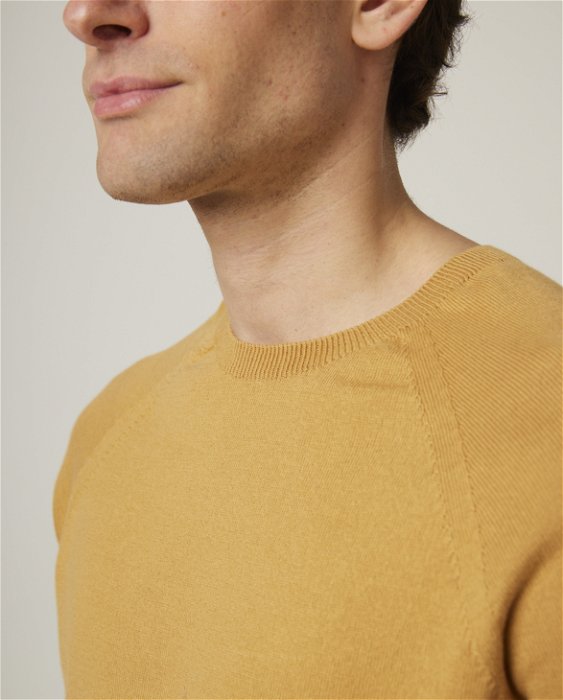 Image of model wearing Knitted T-shirt. 